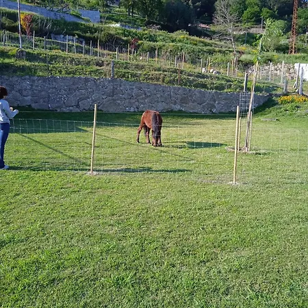 Quinta Dos Campos - 1 Quarto em Acomodações Particulares