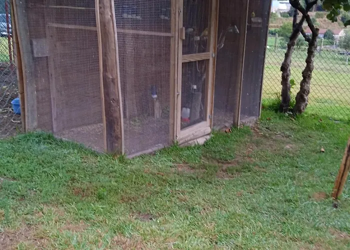 民宿 Quinta Dos Campos - 1