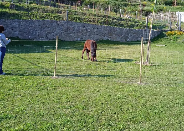 Quinta Dos Campos - 1 民宿